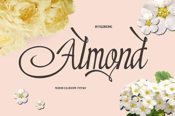 Almond Typeface: Elevating Web Design with Modern Script