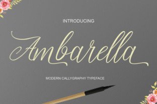 Ambarella: A Designer's Honest Review for Branding