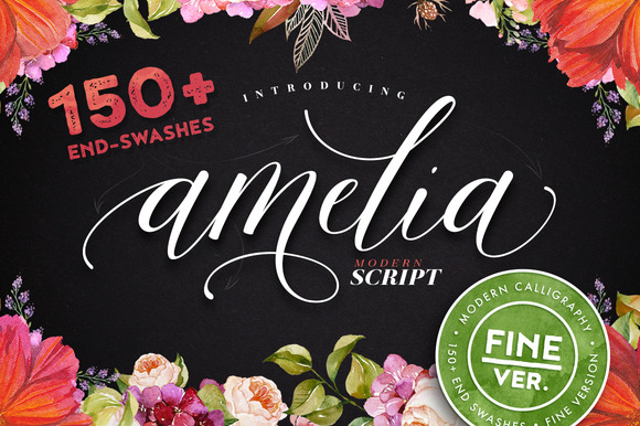 Amelia Script: The Typeface That Elevates Campaign Visuals