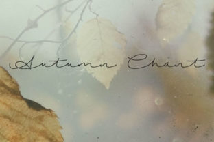 Autumn Chant Font: A Designer's Guide to Handwritten Web Typography