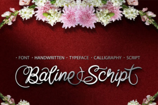 Baline Script: A Versatile Typeface for Small Business Branding