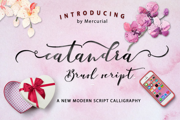 Catandra Script: A Modern Typeface for Web Design