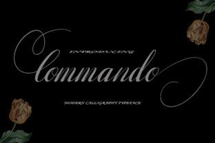 Commando Font: Elevating Web Design with Modern Calligraphy