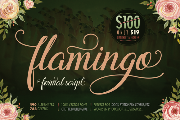 Flamingo: A Handcrafted Font for Modern Web Design