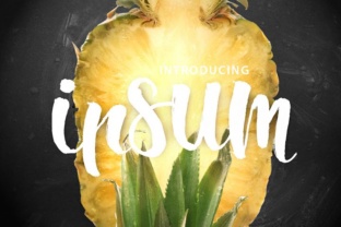 Ipsum Script: A Modern Typeface for Handmade Brands