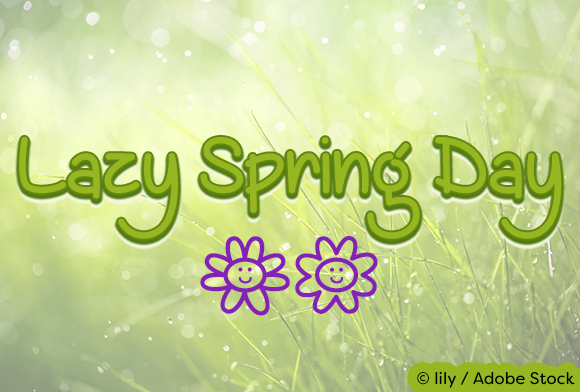 Lazy Spring Day: A Designer's Honest Review for Branding
