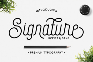 Signature Font Review: A Versatile Typeface for Web & Brand