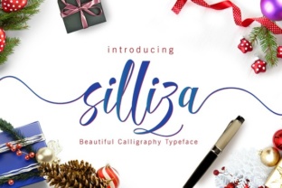 Silliza Script: A Modern Typeface for Polished Web Design