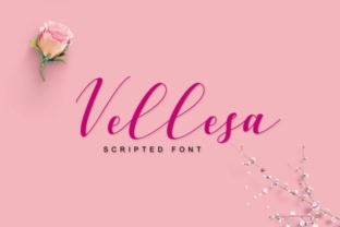 Vellesa Script: A Designer's Review of This Elegant Typeface